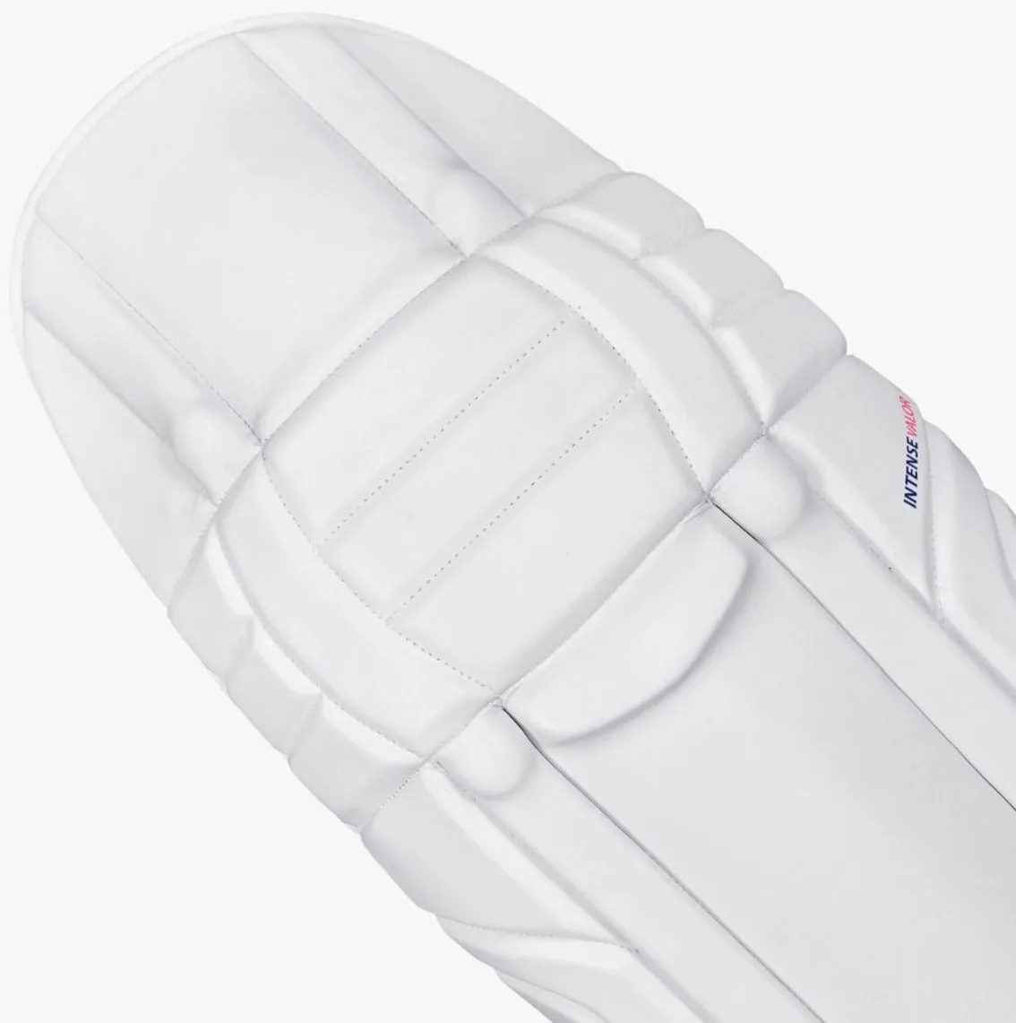 DSC Intense Valor Batting Pads